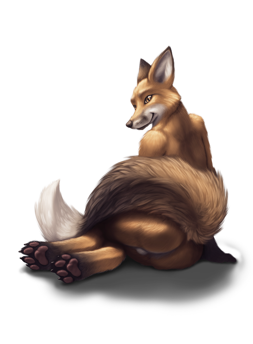 The Fox Bundle