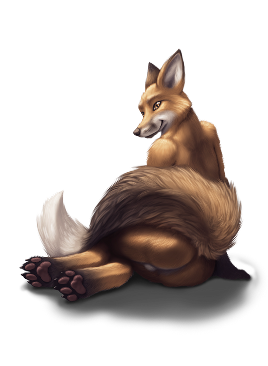 The Fox Bundle