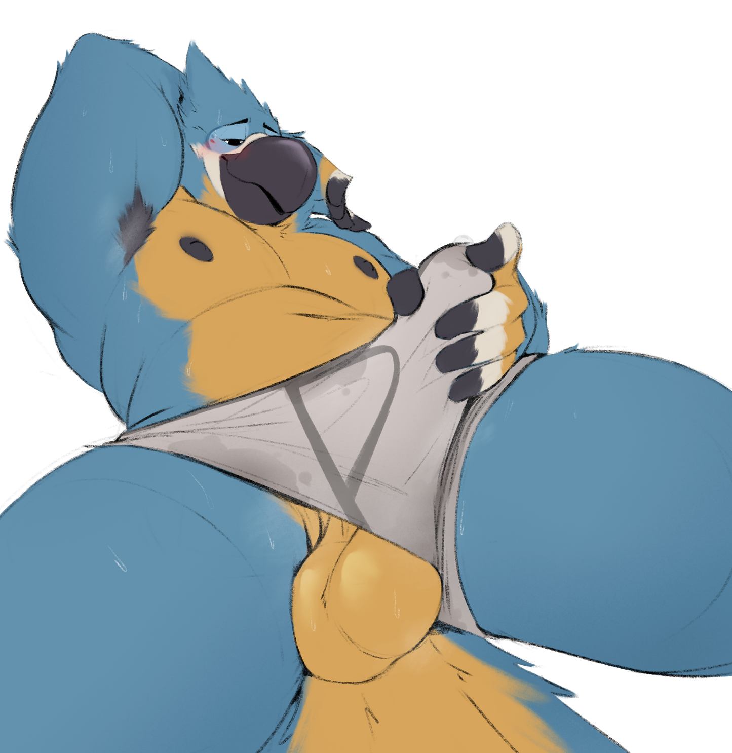 Blue Bird Briefs