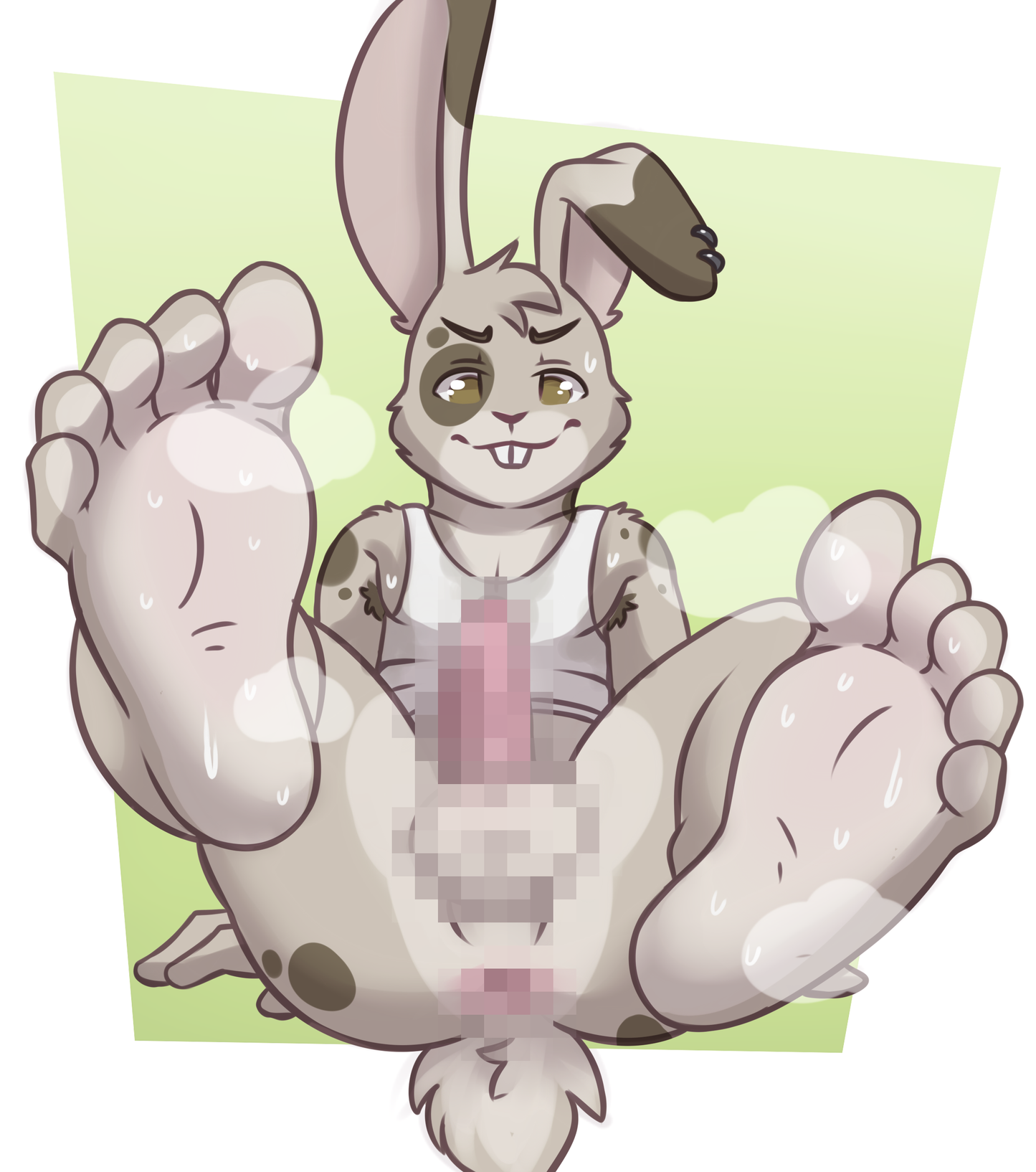 Bunny Paws