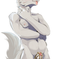 The Fox Bundle